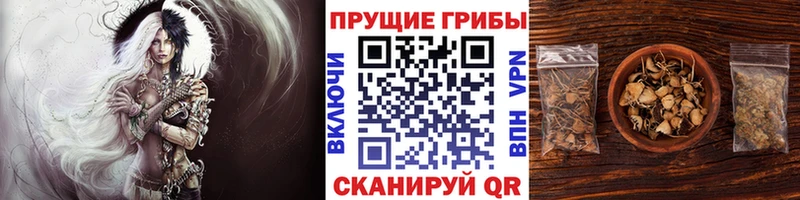 Галлюциногенные грибы MAGIC MUSHROOMS  купить  сайты  Нефтекумск 