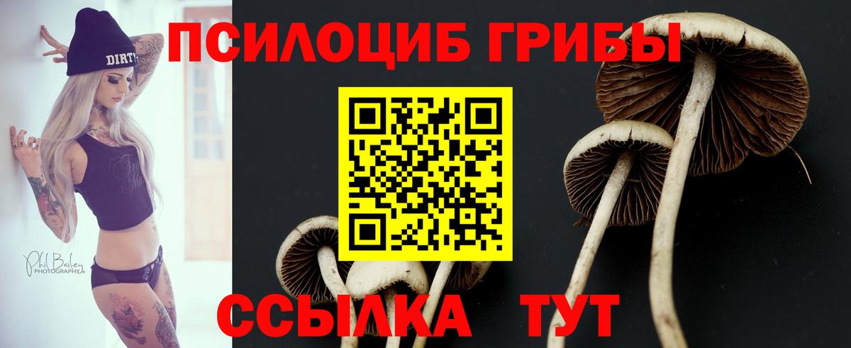 Псилоцибиновые грибы мухоморы  Псилоцибиновые грибы мицелий  Вход с VPN  Нефтекумск 