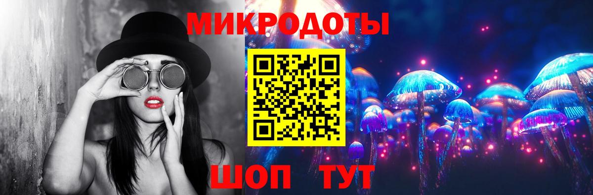 Псилоцибиновые грибы Cubensis Нефтекумск